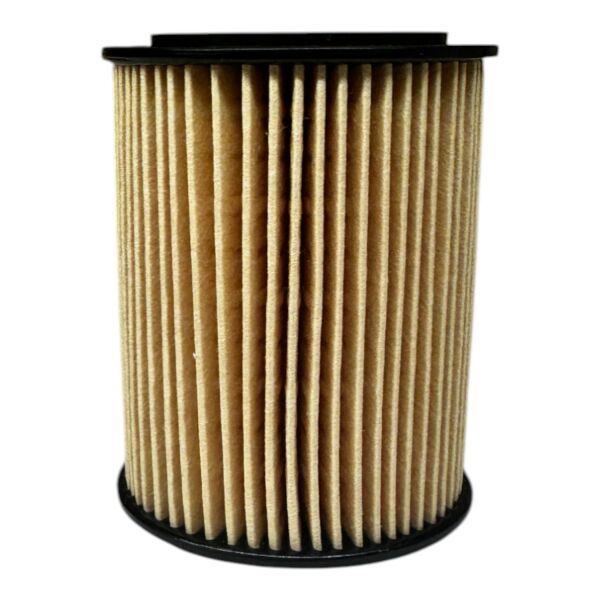 Chevrolet Captiva C100 Dizel Yağ Filtresi Filtron Marka OE648/7