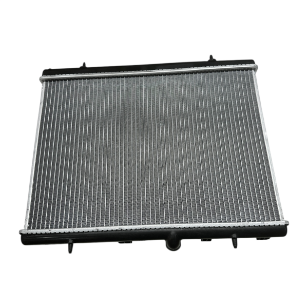 Peugeot 207 Su Radyatörü (Brazıng) Bsg Marka 70-520-020