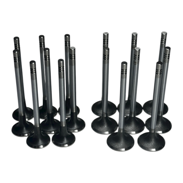 Chevrolet Epica 2.0 Dizel Motor C 100 Subap Takımı İoto Marka 11602-12601