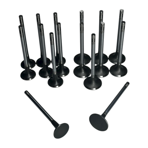 Chevrolet Epica 2.0 Dizel Motor C 100 Subap Takımı İoto Marka 11602-12601