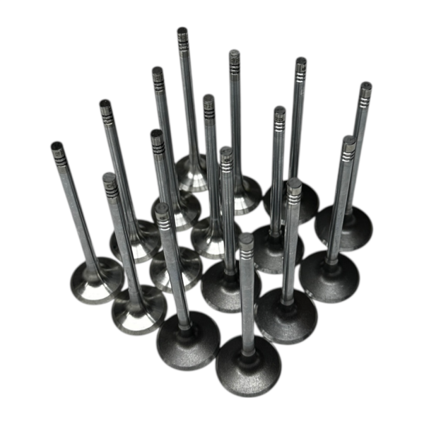 Opel İnsignia A 1.4 Benzinli Motor Subap Takımı Supsan Marka 40513-40792